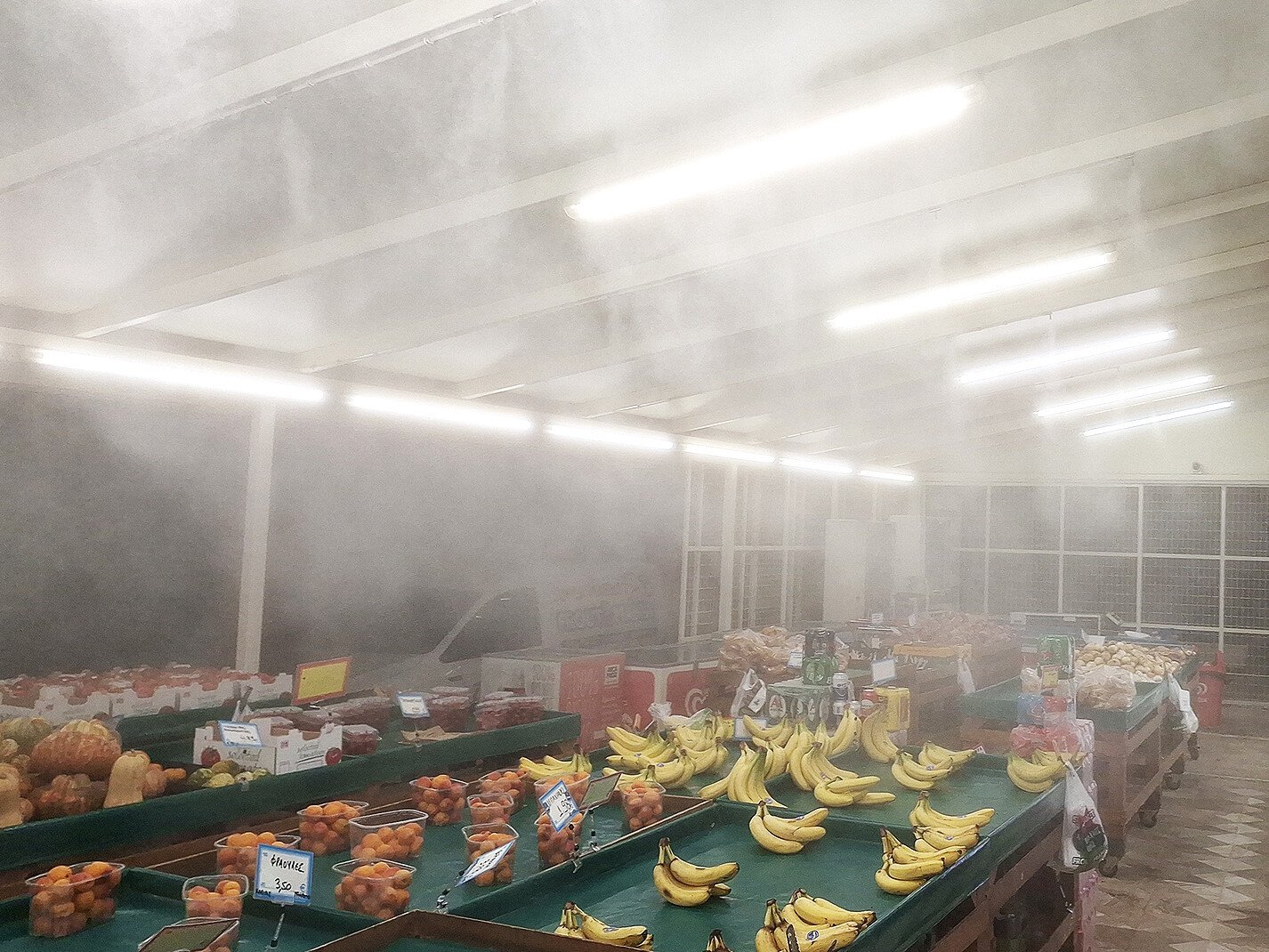 Super Market - Μαναβική Froutomania